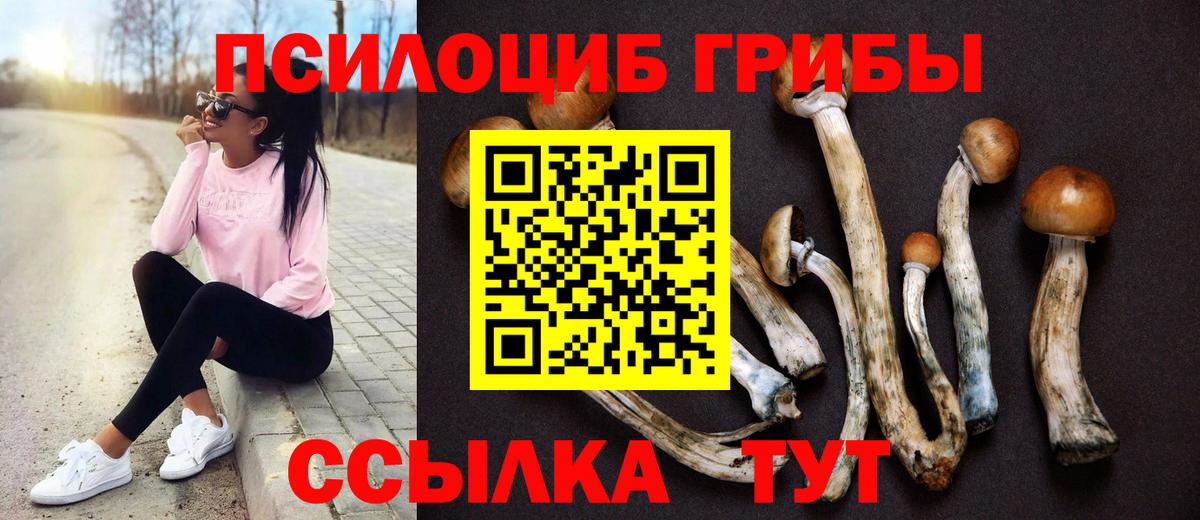 Ижевск  Псилоцибиновые грибы GOLDEN TEACHER  Вход с VPN  Псилоцибиновые грибы мухоморы 